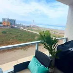 Arrecife 404