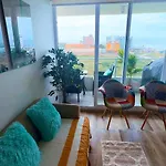 Arrecife 404